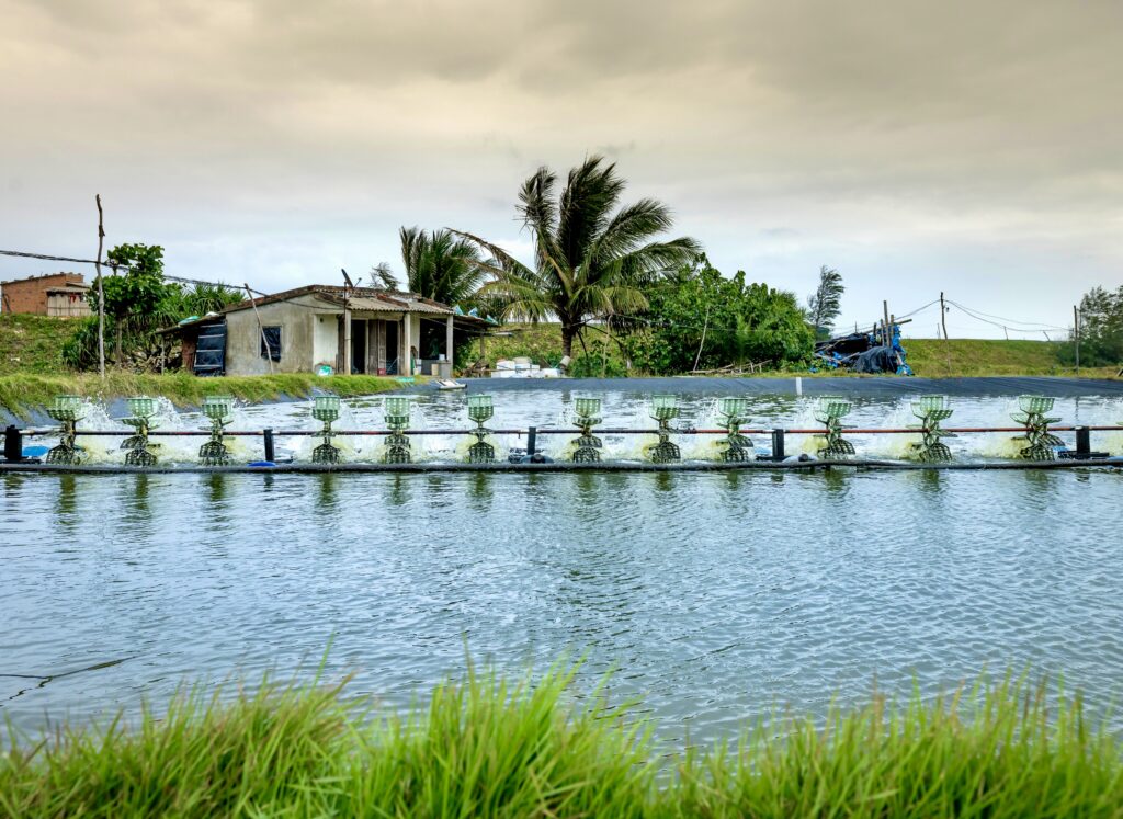 12 small watermills attached in a line and paddling in a pond in front of a farm in Vietnam.