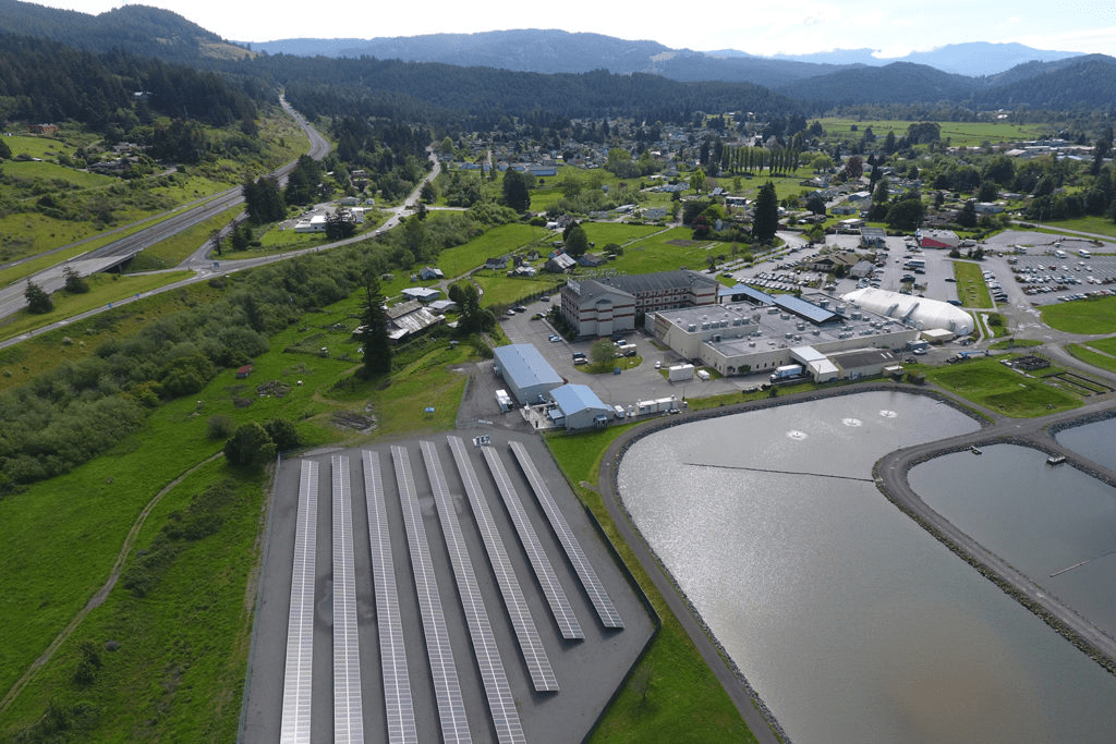 Aerial view of the Blue Lake Rancheria solar microgrid's 420kW solar array next to a pond and large facility.