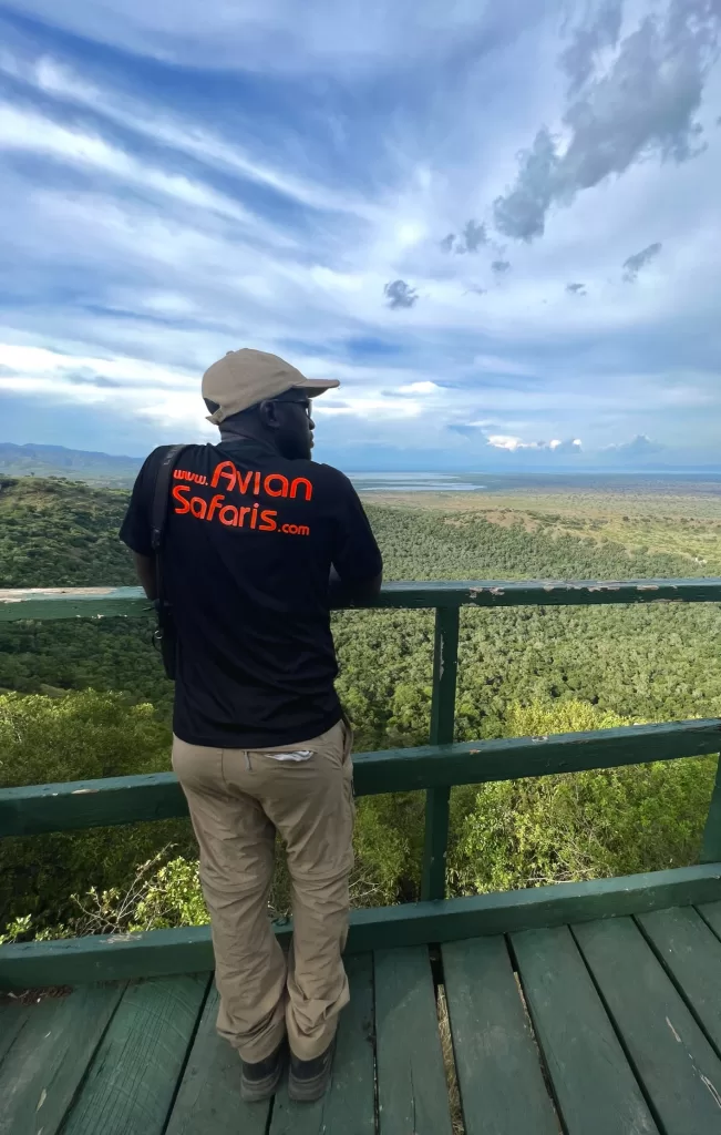 Crammy Wanyama, wearing an Aviansafaris.com t-shirt, standing on a lookout over Queen Elizabeth National Park savannah on a sunny afternoon.