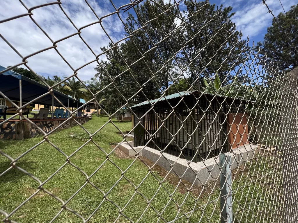 Fenced in diesel generator in a field next to Mulago hospital to ensure hospital operations are uninterrupted during grid outages.