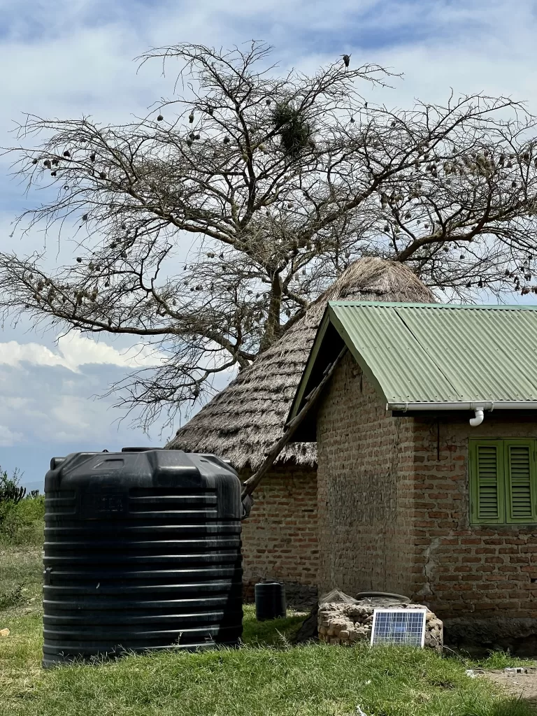 Solar panel soaking in sunlight next to a water storage tank and two buildings in Queen Elizabeth National Park.