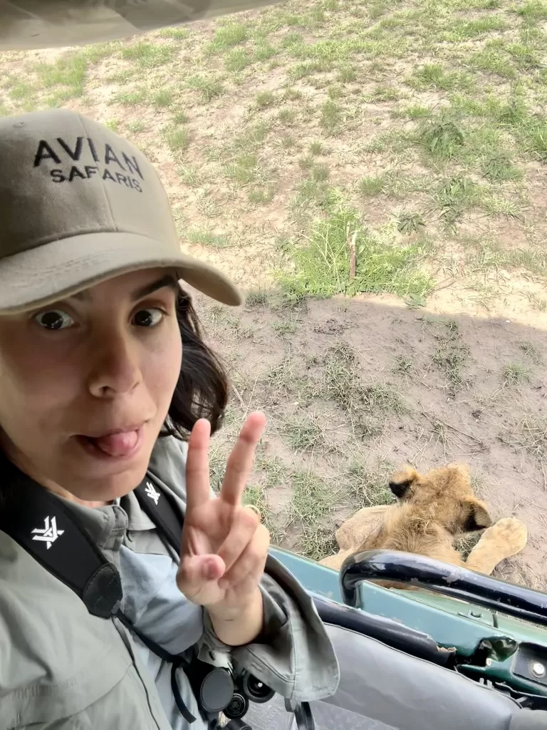 Woman with an Avian Safari hat seated in a truck above a sleeping lion.