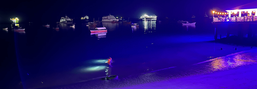 Ocean meets that sand at night in Stone Town Zanzibar. Two people with flash lights walk in the shallow water as people sit at a dockside restaurant and boats float offshore.